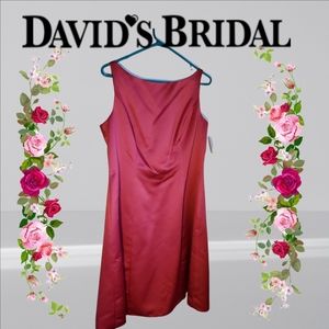 NWT David's Bridal Dress SZ 14